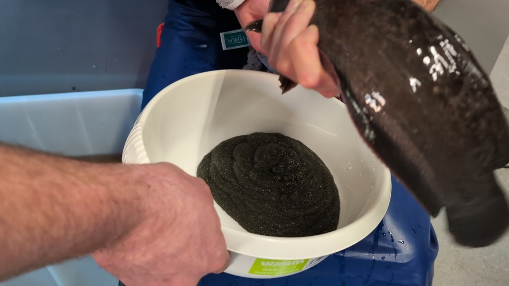 Abstreifen Weibchen